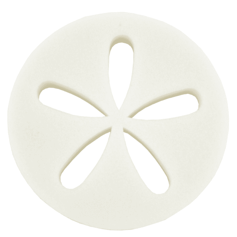 Life Spa Disc